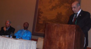 Africa’s Renaissance: Issues in development, democracy, and diversity