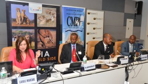 Journalism: many publishers, no editors